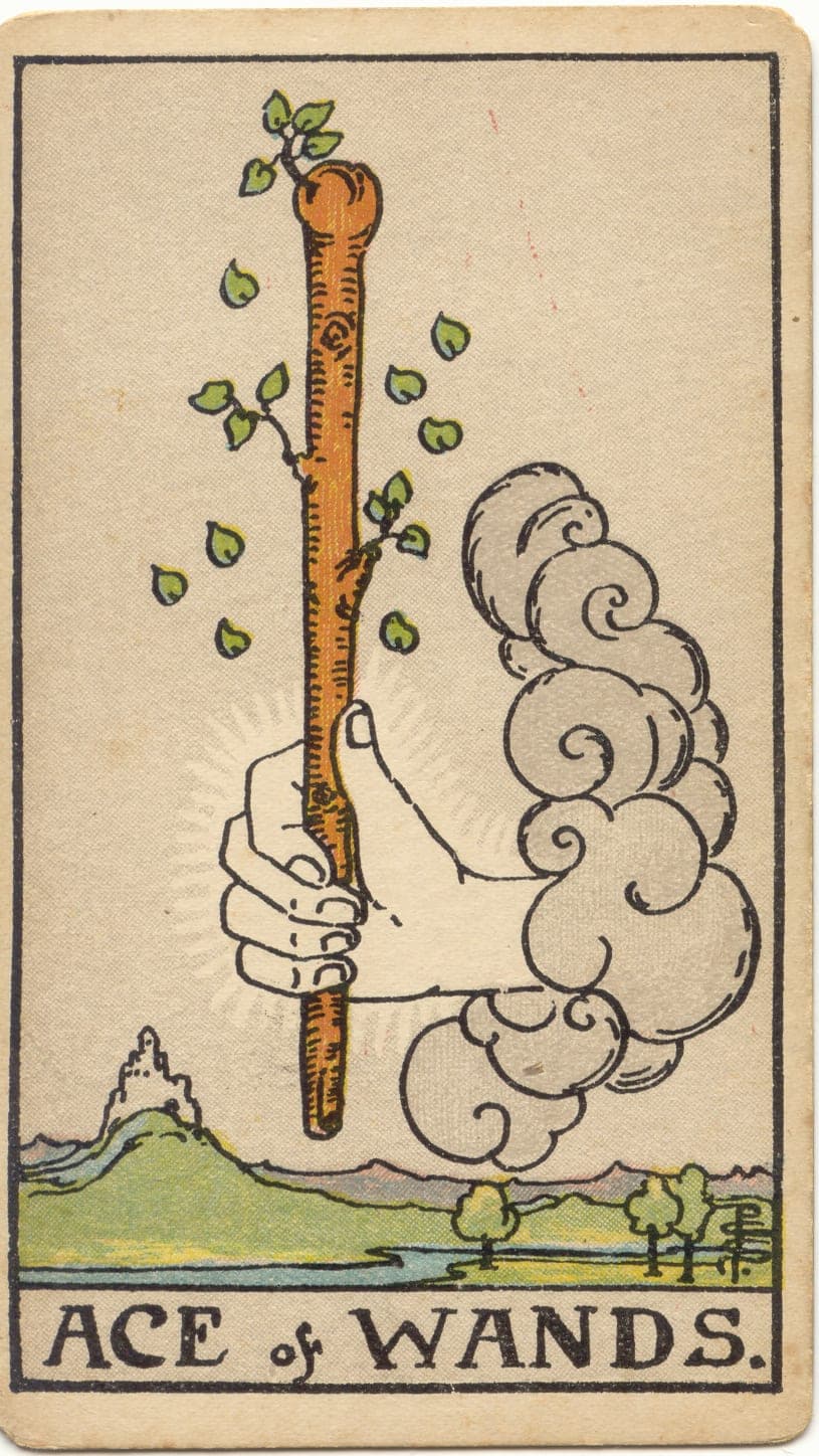 ไพ่ทาโรต์ Ace of Wands